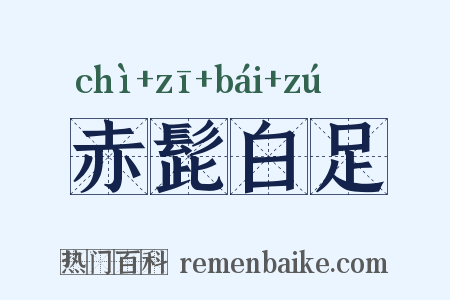 赤髭白足是什么意思的图片